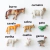 Kit Educativo Animais da Fazenda - Miniaturas de Plástico Resistente