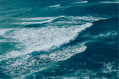 Banner da categoria Carteira sustentável Tradicional Estampada