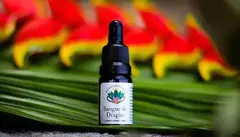 Sangue de Dragão Orgânico - 10ml Encantos da Floresta Amazônica