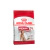 Royal Canin Medium Adulto 7,5KG