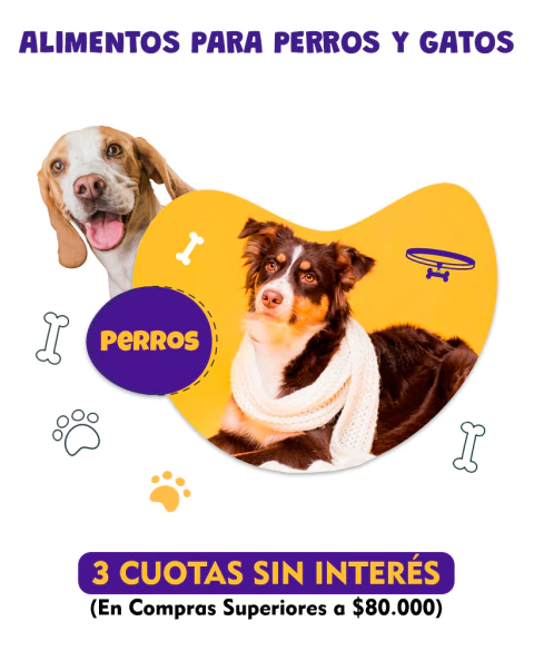 Carrusel 1