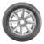 Formula Evo 195/55R15 en internet