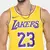 regata-nba-los-angeles-lakers-nike-drifit-masculina-amarelo+roxo