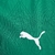 Imagem do Camisa Palmeiras I 2025/26 s/n Puma Feminina - Verde