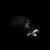 EVIL CAP - comprar online