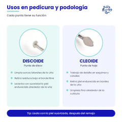 Cucharilla Cleoide/Discoide en internet
