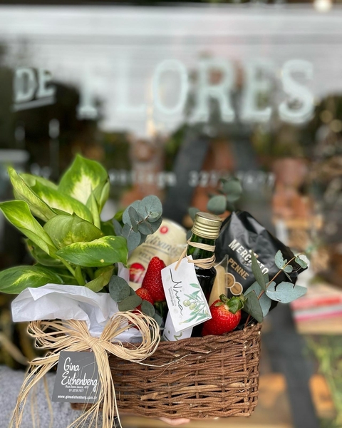 Amigos gourmet