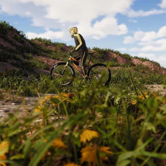 BMX Wild Run PS5 Digital Primario - comprar online