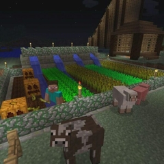 Minecraft PS3 en internet