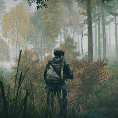DayZ PS4 Digital Primario - comprar online