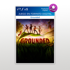 Grounded PS4 Digital Secundaria