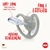 Chupeta NUK tam 3 Space Silicone Boy Leão - loja online