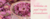 Imagem do banner rotativo 2