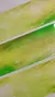 Loop de pet tape Fundo de vegetação - comprar online