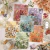 Stickers Kit de Adesivos Série Sonhos em um Mar de Flores