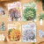 Stickers Série Anéis de Árvore e Versos