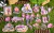 Kit de Adesivos Serie Ranch Life (stickers 030425) na internet