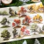 Stickers Kit de Adesivos Série FLoresta Verde - comprar online
