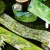 Washi tape Chinesa série Stroll Through - Artbella Papelaria