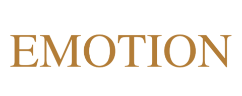 Shop Emotion - Sua Loja Multimarcas Online