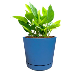 Vaso Ocean (15x15) Cor Jeans Eco VASART - loja online