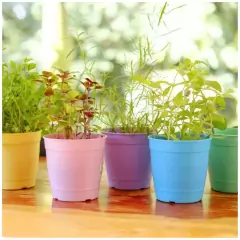 Vaso Aquarela 4,5 (3,5L) Amarelo Claro NUTRIPLAN na internet