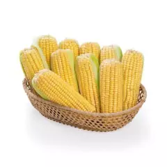 Sementes de Milho Confeito Super Doce Orgânico (5,20g) ISLA - loja online