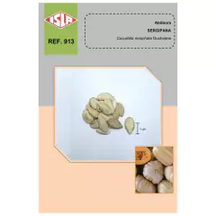 Sementes de Abobora Sergipana (Jerimum Leite) Super ISLA - comprar online