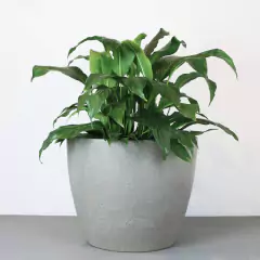 Vaso Malta Redondo (42x33) Cor Granito Pedra VASART - comprar online
