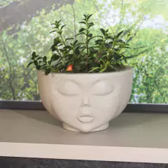 Vaso Face Menina 09 (1L) Cor Cimento NUTRIPLAN - comprar online