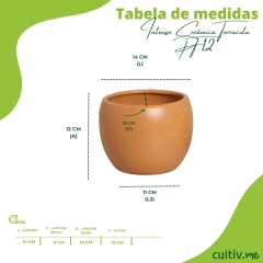 Vaso Cerâmica Esmaltado Intense (12) Cor Terracota BURGUINA - comprar online