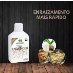 Fertilizante Samambaia + Enraizador 140ml VITAPLAN - loja online