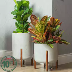 Vaso Cilíndrico Decore 34 (28L) Off-White JAPI na internet