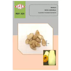 Sementes de Abobora Nova Caravela ISLA - comprar online