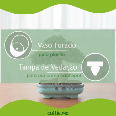 Vaso Cerâmica Esmaltado Bonsai (20) Azul Névoa BURGUINA - Cultiv.me