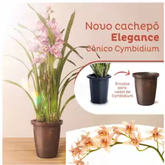 Cachepô Elegance Cônico Cymbidium (3,25L) Café NUTRIPLAN - Cultiv.me