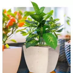 Cachepô Elegance Quadrado 01 (0,95L) Travertino NUTRIPLAN - Cultiv.me