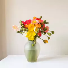 Sementes de Papoula Excelsior (Sortida) TOPSEED