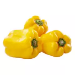 Sementes Pimentão Hibrido Amarelo Satrapo (100mg) SUPER ISLA - Cultiv.me