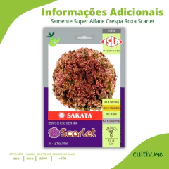 Semente Alface Crespa Roxa Scarlet Super ISLA - comprar online