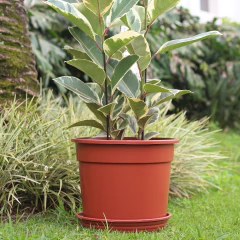 Vaso Redondo 08 (42,5L) Cor Cerâmica NUTRIPLAN - Cultiv.me