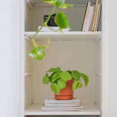 Vaso Rio (15x15 cm) Cor Terracota VASART - comprar online