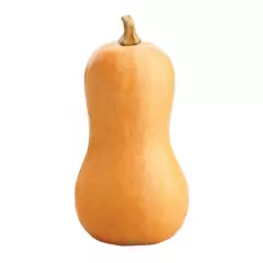 Sementes de Abóbora Menina Creme [Butternut] TOPSEED - comprar online