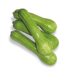 Imagem do Sementes de Abóbora Menina Brasileira Precoce (50g) ISLA