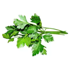 Sementes de Salsa/Salsinha Lisa (50g) ISLA na internet