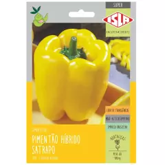 Sementes Pimentão Hibrido Amarelo Satrapo (100mg) SUPER ISLA