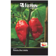Sementes de Pimenta Cascavel (Bhut Jolokia) FELTRIN