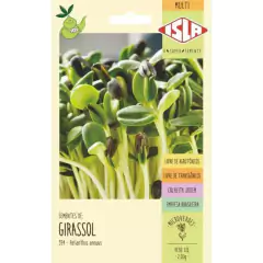 6X Sementes Brotos Microverdes [Kit Cores Variados] ISLA