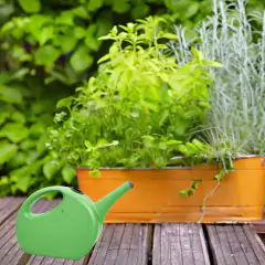 Regador Chuveiro em Plástico (1,5L) Verde NUTRIPLAN - loja online