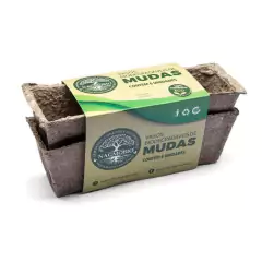 KIT Vasos Biodegradáveis Quadrado (6 unidades) NAGMOBIO - comprar online